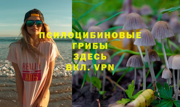 индика Армянск
